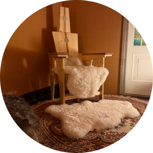 Meraki Coaching & More energetische Bron-Code Stoel Monique Timmers